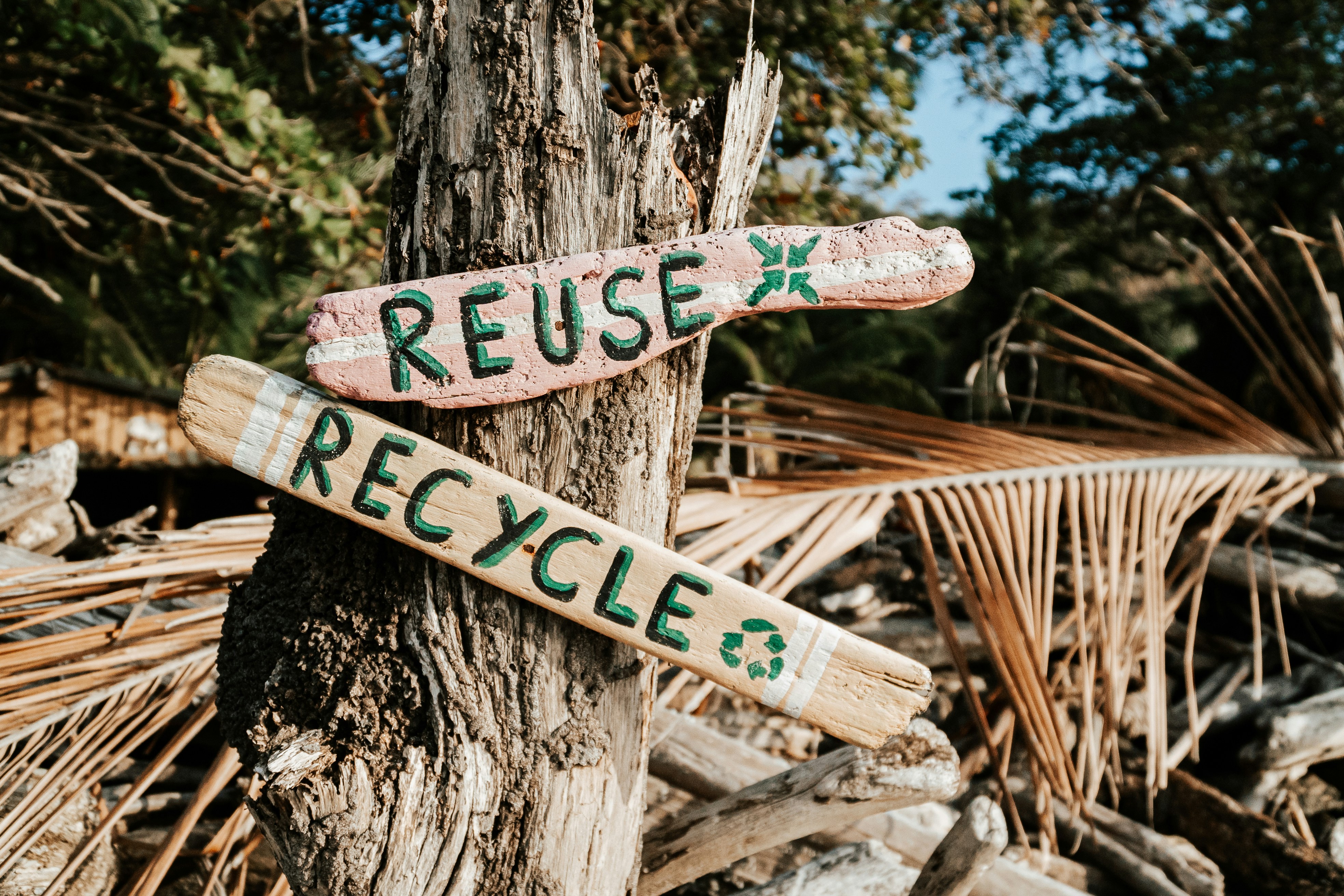 Recycling Processing Yard